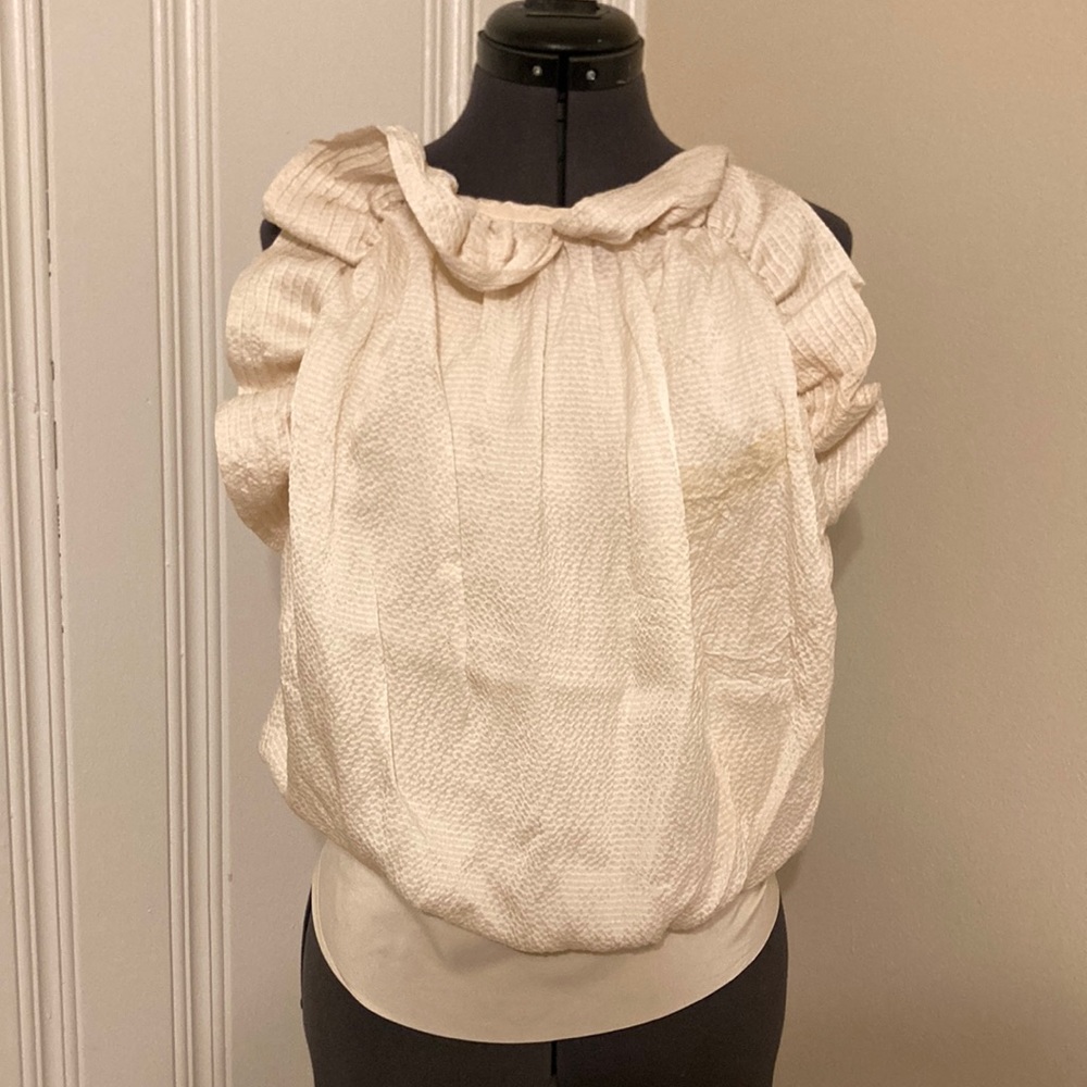 BCBGMaxAzria backless silk top.
